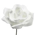 Floristik24 Penové ruže biele Ø5cm 12p