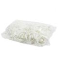 Floristik24 Penové ruže biele Ø5cm 12p