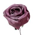Floristik24 Penové ruže mix v červenej farbe Ø5cm 24str