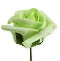 Floristik24 Penová ruža Ø 6cm zelená 27p