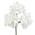 Floristik24 Penové ruže biele Ø10cm 8ks