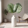 Calathea Umelý košík Marante Umelé rastliny Zelený 51cm | Floristik24.sk