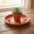 Podložka Mediterranean, keramická miska terakota Ø10,7cm | Floristik24.sk