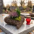 Miska na rastliny srdce cintorín, srdiečko z viniča na sadenie 15 cm 2 ks | Floristik24.sk