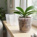 Kvetináč na orchidey Ø12cm priehľadný 10ks | Floristik24.sk