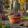 Plastová miska na kvety Ø20cm terakotová 5 ks | Floristik24.sk