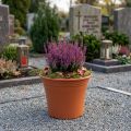 Črepník “Irys” plastový terakota Ø15cm V13cm 1 ks | Floristik24.sk