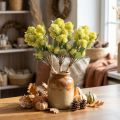 Tučná sliepka Zelený Sedum Rozchodník Umelé kvety 41cm 3ks | Floristik24.sk