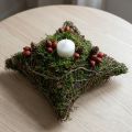 Vankúš na rastliny, popínavá rastlina, mach, miska na rastliny, prírodná 20×20×6,5 cm | Floristik24.sk