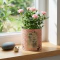 Dekoratívny kvetináč plechovka lososový kovový kvetináč Ø15,5 cm V15 cm | Floristik24.sk