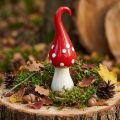 Deco Muškátová keramika Deco Mushroom Červená Biela Ø6,5cm V21cm | Floristik24.sk