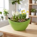 Rastlinná loď zelená dekoračná miska oválna 20cmx9cmx12cm | Floristik24.sk