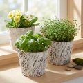 Kvetináč s imitáciou kôry, ideálny do rustikálneho interiéru a na dekoráciu rastlín, 12 cm, 4 kusy | Floristik24.sk