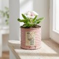 Dekoratívny plechový okrúhly kvetináč s ružami v starožitnom kovovom kvetináči Ø8cm V7,5cm | Floristik24.sk