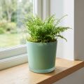 Sklenený kvetináč zelený kvetináč sklenená vaňa Ø11,5cm V11cm | Floristik24.sk