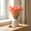 Sušené kvety čiapka kvety lososové slamené kvety V42cm | Floristik24.sk