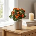 Flaming Käthchen Kalanchoe umelý pomaranč 24cm | Floristik24.sk