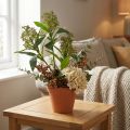 Umelé zelené kvety Skimmia japonica, 45 cm, 2 kusy | Floristik24.sk