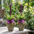Kvetináč rustikálny lesný vzhľad Ø12,5 cm V12 cm 2 ks | Floristik24.sk