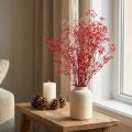 Gypsophila Gypsophila sušené kvety červené 50cm 55g | Floristik24.sk