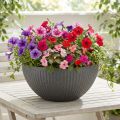 Plastová miska na rastliny antracitová Ø35cm V16,5cm | Floristik24.sk