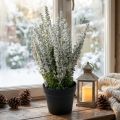 Erika metla vres biely vres umelá rastlina V26cm | Floristik24.sk