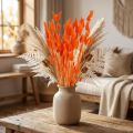 Dekorácia zo sušených kvetov oranžového zajačieho chvosta 50-60cm 50g - Zamatový Lagurus na dekoráciu stola a tvorenie | Floristik24.sk