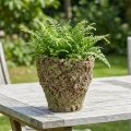 Kvetináč rustikálny s machovým vzhľadom Ø17cm V16,5cm | Floristik24.sk