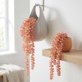 Závesná rastlina Sedum 'Rubin' – dekoratívny, nenáročný sukulent 43 cm 3 ks. | Floristik24.sk