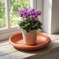 Podšálka "Linda" Ø18cm terakotová | Floristik24.sk