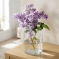 Sklenená váza číra cylindrická Ø12cm V20cm | Floristik24.sk