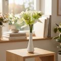 Umelé orchidey umelé kvety vo váze biela/zelená 28cm | Floristik24.sk