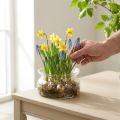 Sklenená misa dekoračná misa sklenená plávajúca misa Ø16cm V8cm | Floristik24.sk