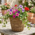 Kvetináč na vinič Ø25cm V22,5cm prírodný kvetináč | Floristik24.sk