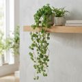 Umelé závesné rastliny echeveria v zelenej farbe Š12 cm D50 cm | Floristik24.sk