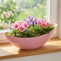 Rastlinná loďka plastová miska na kvety ružová 28×9×9cm 3ks | Floristik24.sk