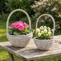 Dvojdielna sada kvetinových košov, slamka, prírodná, biela, Ø23/28, shabby chic | Floristik24.sk