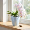 Kvetináč na orchideu lesklý Ø12,5cm biely 1 ks | Floristik24.sk