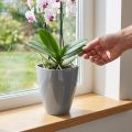 Kvetináč na orchideu lesklý Ø12,5cm sivý 1 kus | Floristik24.sk