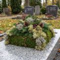 Dekoratívny mach – pravý mach a lišajník na kvetinové aranžmány 250g | Floristik24.sk