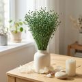 Sušená ľanová tráva, zelená, 50-55 cm, dekoratívna, DIY | Floristik24.sk