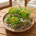 Echeveria Umelé sukulenty zelené Ø7cm 6 ks | Floristik24.sk