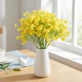 Gypsophila paniculate sadrovca bylina žlté kvety L46cm 4 ks | Floristik24.sk