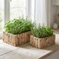 Debnička na rastliny drevená debnička na bylinky breza L23/28cm sada 2ks | Floristik24.sk