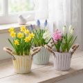 Vedro na kvetináč, kovový kvetináč s rúčkami, dekoratívny kvetináč, ružová/zelená/žltá, shabby chic, Ø12 cm, V10 cm, sada 3 kusov | Floristik24.sk