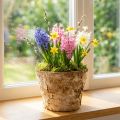 Okrúhly kvetináč, prírodná dekorácia, kôra, brezový kvetináč, Ø12cm V10cm, 5 kusov | Floristik24.sk
