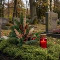 Dekoratívna machovka sušená lesná machovka zelená prírodná dekorácia 300g | Floristik24.sk