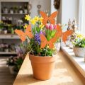 Motýľ drevený kvietok farebný 9cm/29cm 12ks | Floristik24.sk