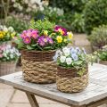 Prútený košík Prírodná prútená miska na rastliny Natural L30/22cm H20/17cm Súprava 2 kusov | Floristik24.sk