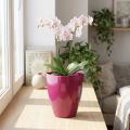 Kvetináč na orchideu lesklý Ø12,5cm čerešňa 1 ks | Floristik24.sk